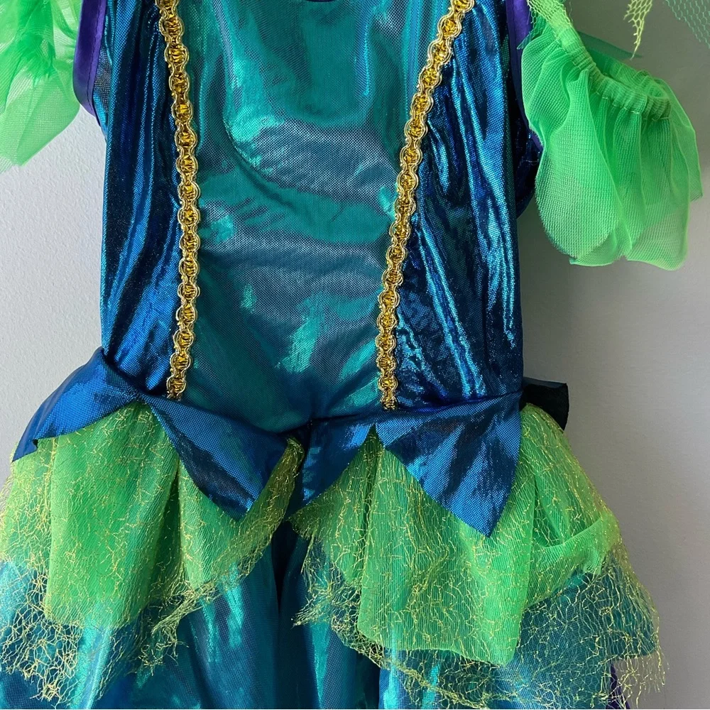 Peacock Costume
